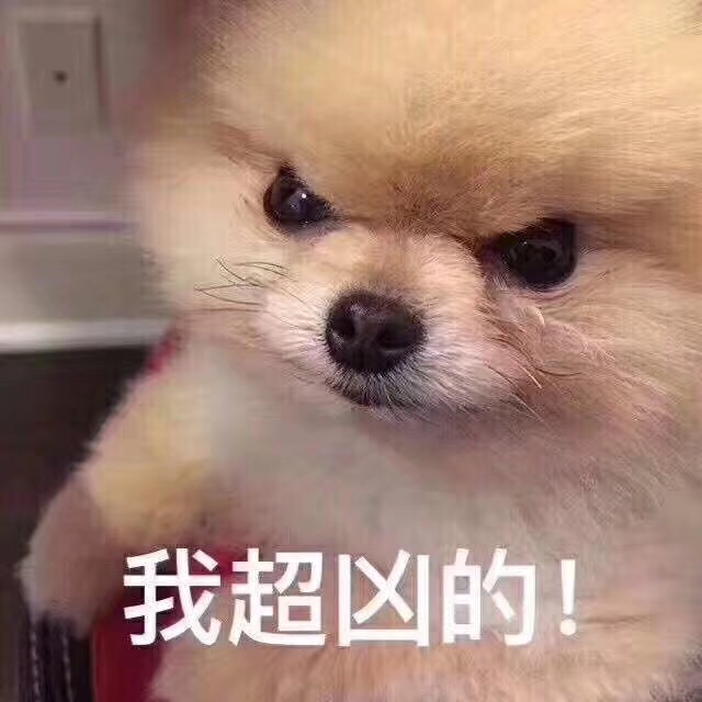 白夜
