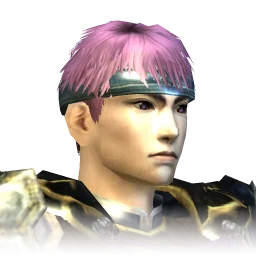 CAIMuS