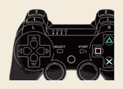 The game's own gamepad artwork.
