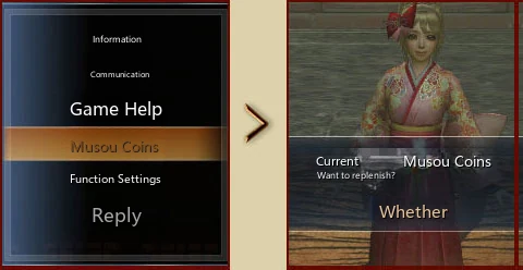Musou Coins