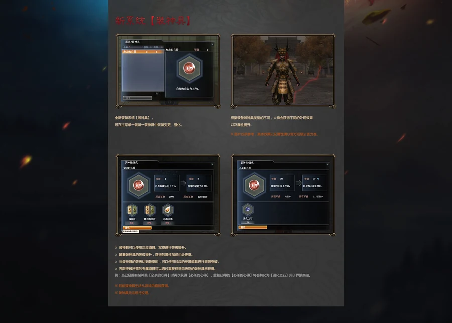 Accessory Data