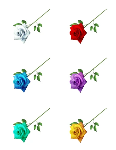Rank 7 and Special Weapon Dye Gallery