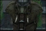 LTElephant.jpg