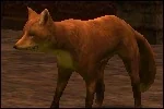 LTFox.jpg