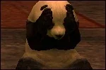 LTPanda.jpg