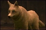 LTWolf.jpg